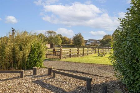 Little Jacks PH-30.jpg