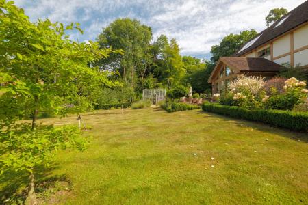 image25