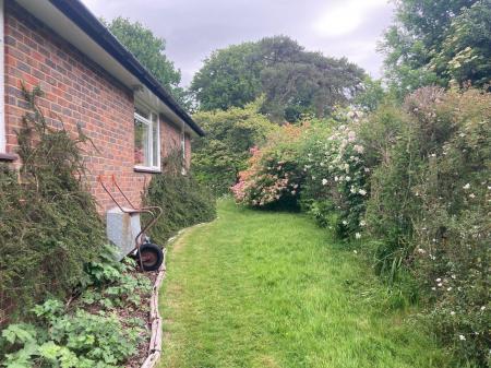 image15