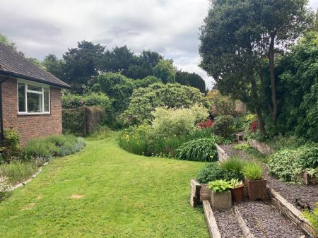 image12