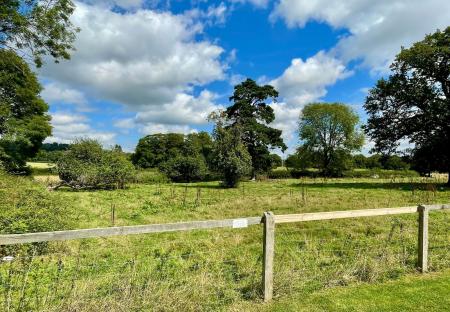 image25