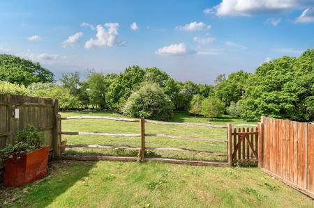 image25