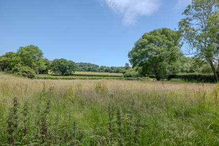 image6