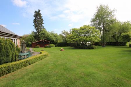 Photo 22