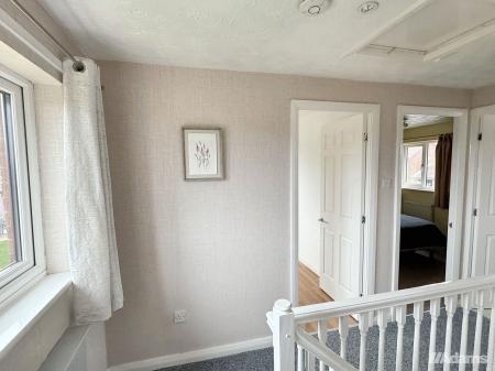 image11