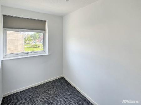 image11
