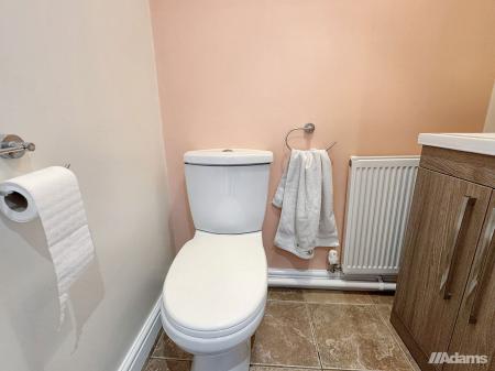 image11