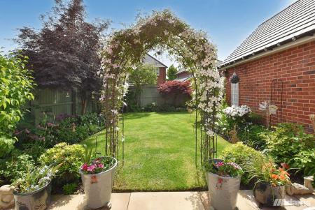 image20