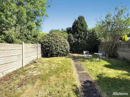 image11