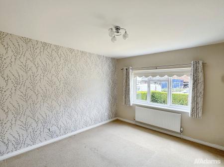 image5