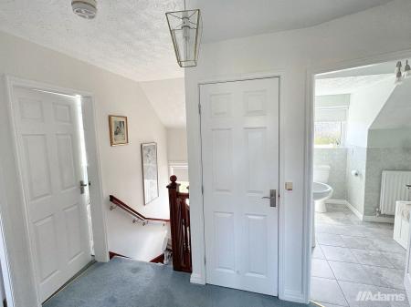 image12