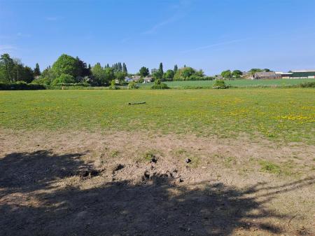 image12