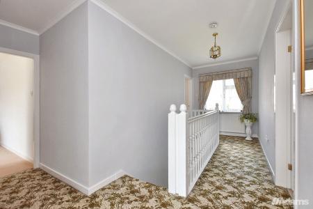 image11