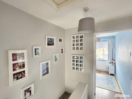 image5