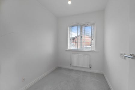 image25