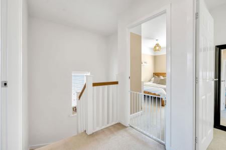 image11