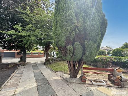 image13