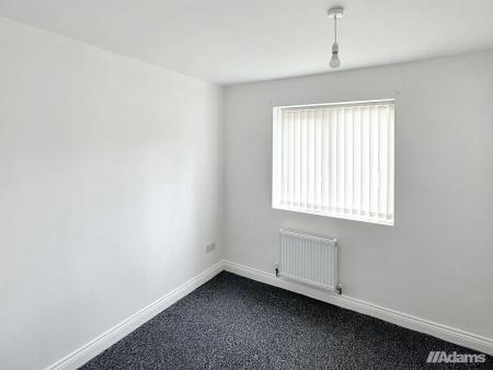 image11