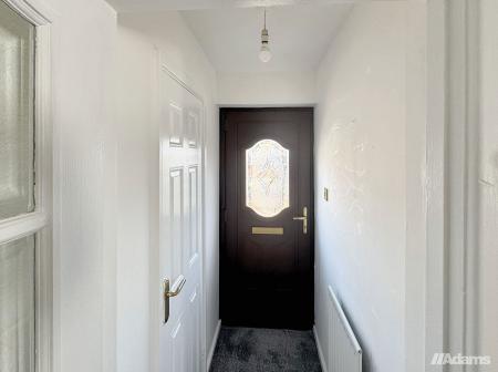 image11