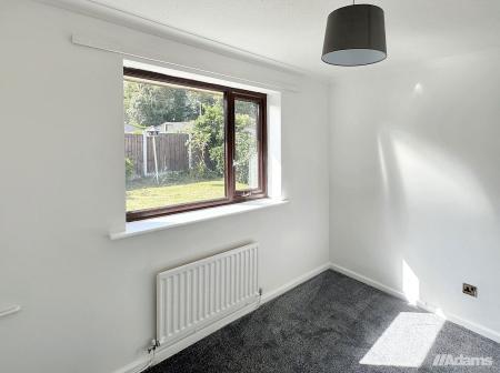 image7