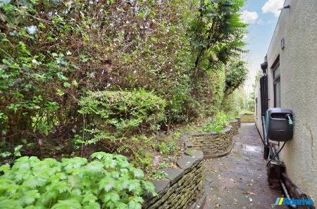 image29