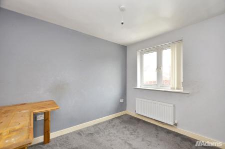 image10