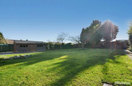 image25