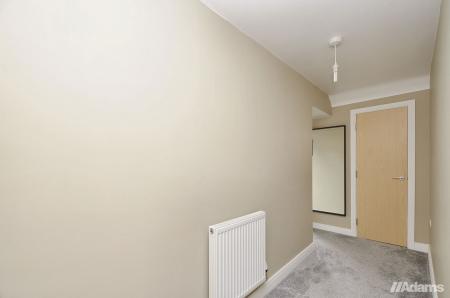 image13