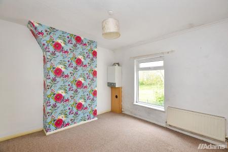 image11