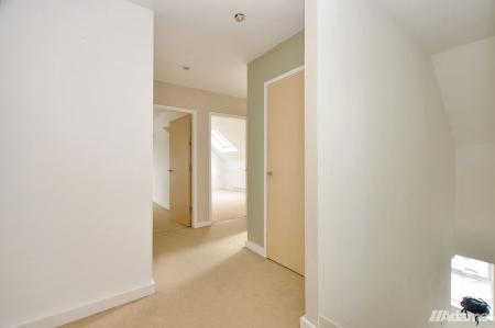 image11