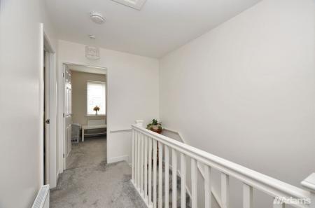 image10