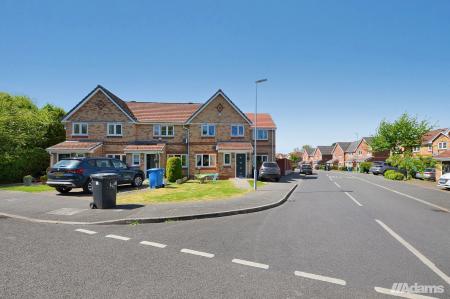 image25