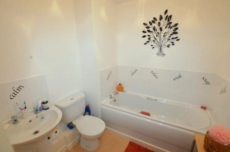 image5