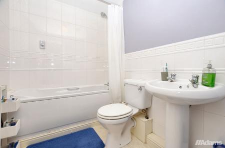 image11