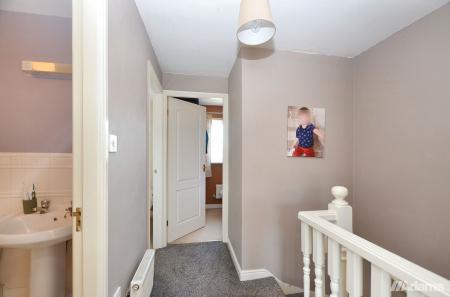 image12