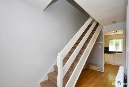 image11