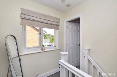 image7