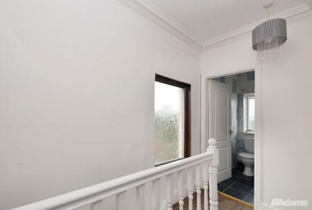 image11