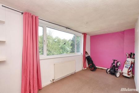 image12
