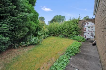image22