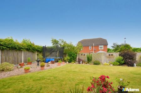 image25