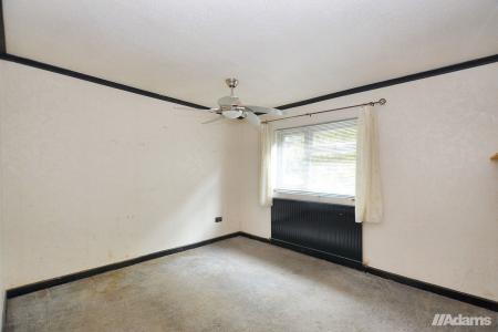 image11