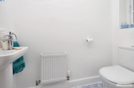 image8