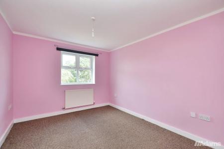 image5