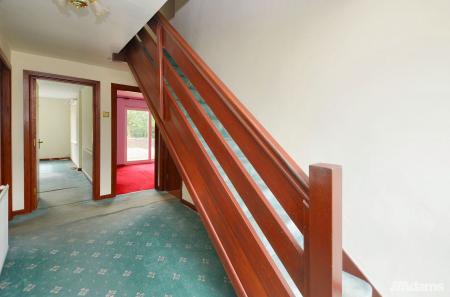 image11