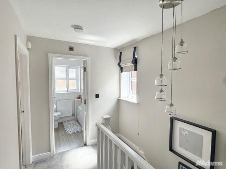 image8
