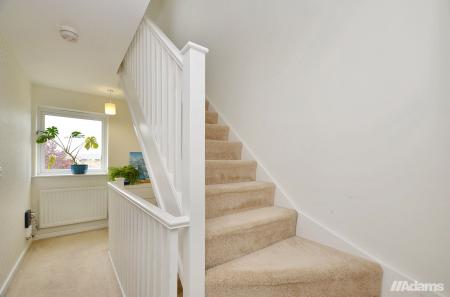 image11