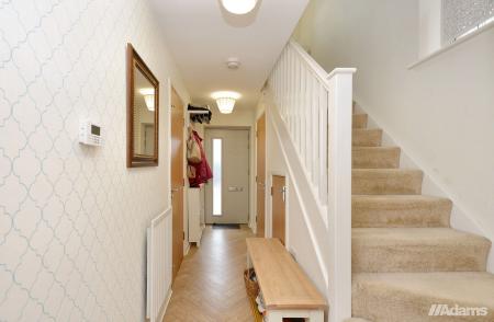 image5