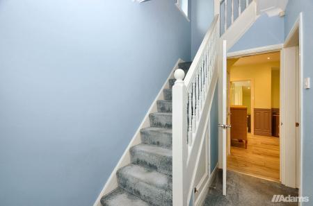 image7