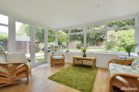 image5
